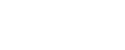 FestiveSheen - logo